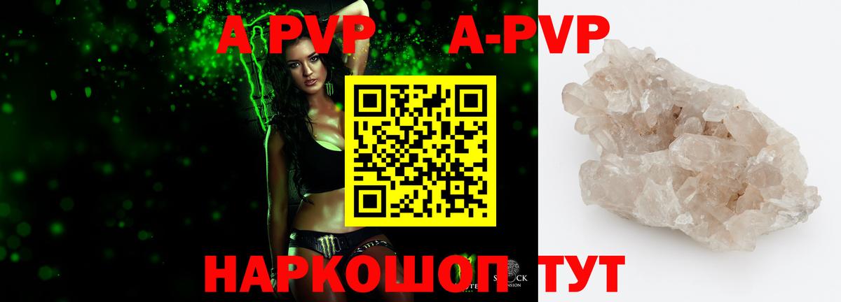 Alfa_PVP СК КРИС Белово