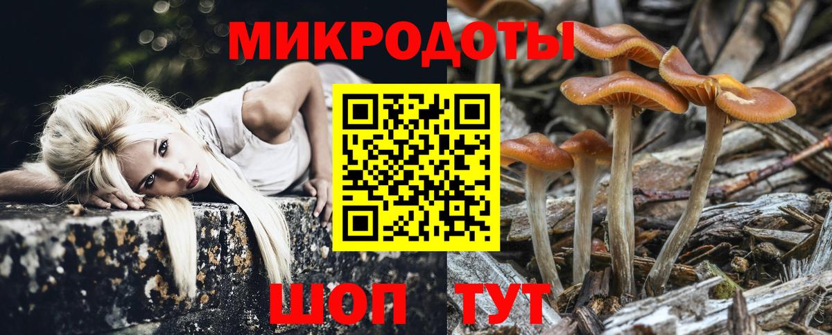 Псилоцибиновые грибы Magic Shrooms  Вход с VPN  Белово 
